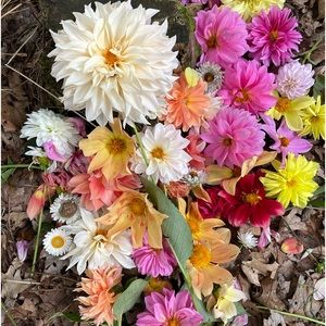 Meet your Posher, Kelley